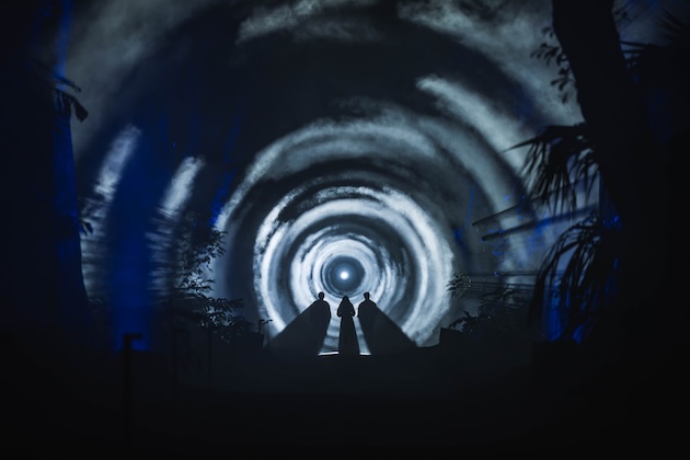 Night Visions Illuminate