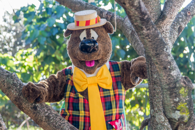 city of onkaparinga christmas pageant - humphrey