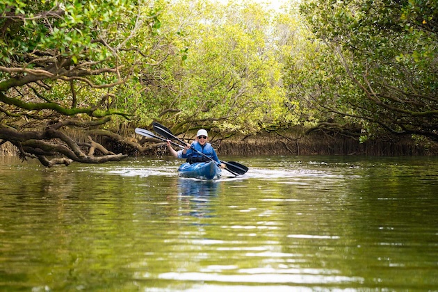 Dolphin Sanctuary Kayak Tours