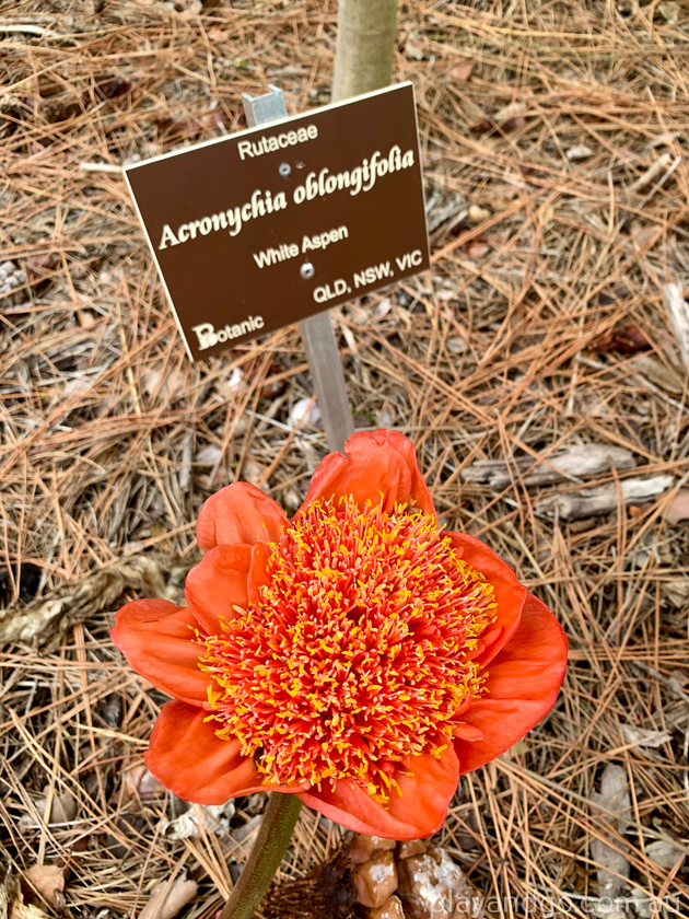 Michael Perry Botanical Reserve