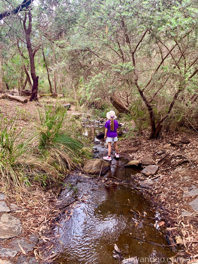 Michael Perry Botanical Reserve