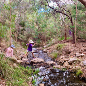 Michael Perry Botanical Reserve