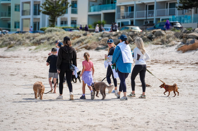 walk with a pal