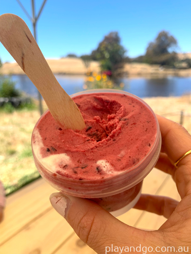 cherry ice cream at Kersbrook Cherry Farm