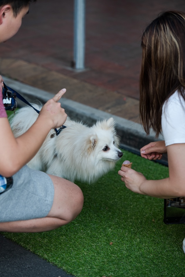 Glenelg Ice Cream Festival