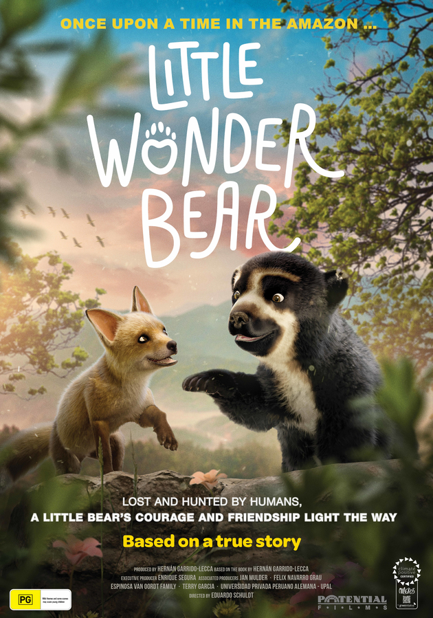 little wonder bear