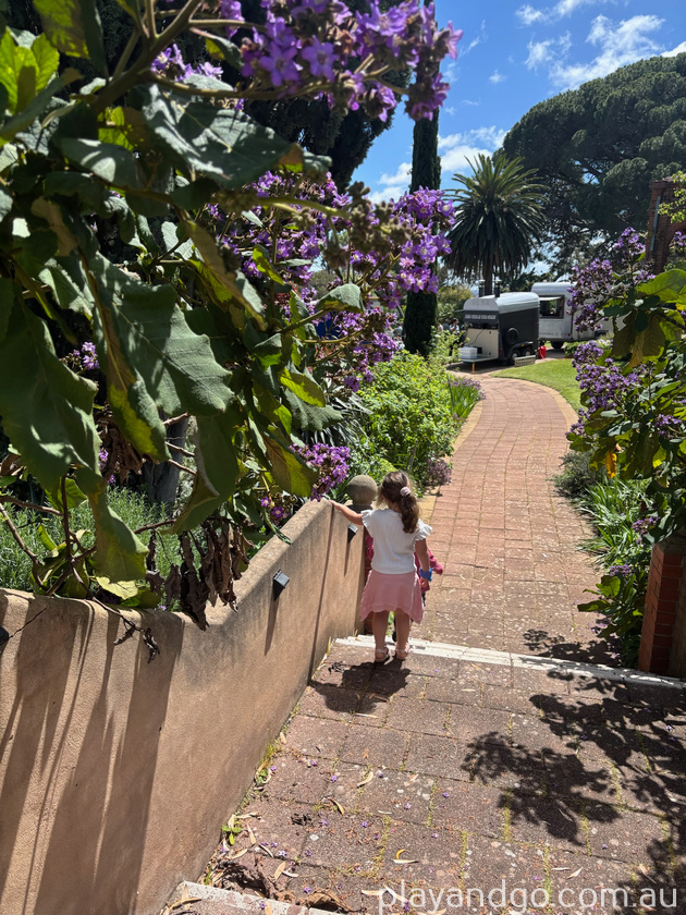 olive festival Beaumont house 