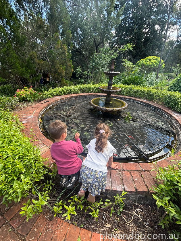 olive festival Beaumont house 