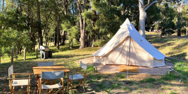 Woodhouse Adventure Park