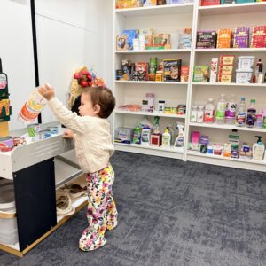 The Little Village Collective