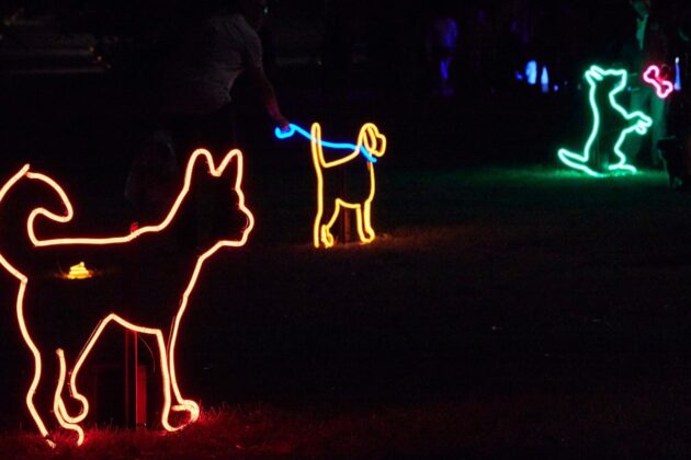 Neon Dog Park - Rymill Park/Murlawirrapurka