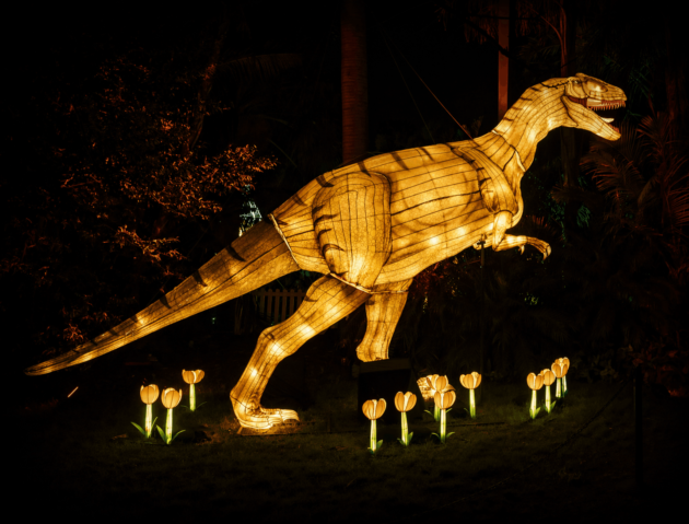 Universal Kingdom: Ice Age Illuminate Adelaide Adelaide Zoo