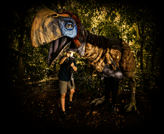  Universal Kingdom: Ice Age Illuminate Adelaide Adelaide Zoo