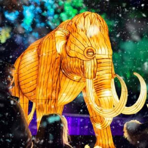 Universal Kingdom: Ice Age Illuminate Adelaide Adelaide Zoo
