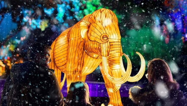 Universal Kingdom: Ice Age Illuminate Adelaide Adelaide Zoo