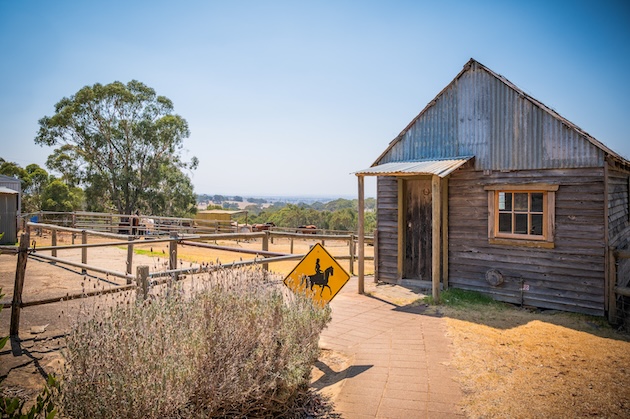 Horse adventures Wirraway