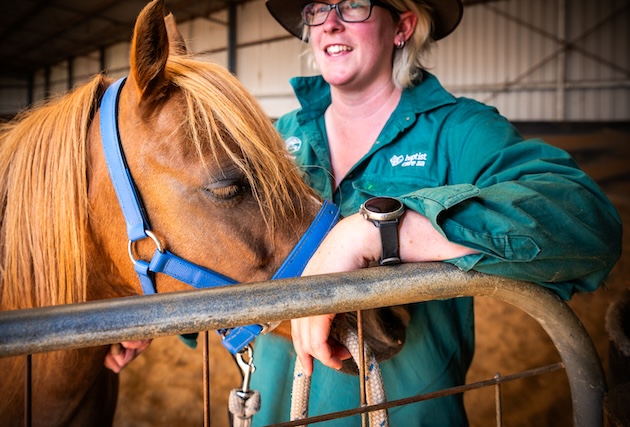 Horse adventures Wirraway