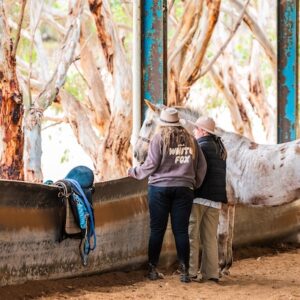 Horse adventures Wirraway