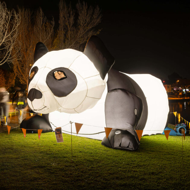 Lights at Mawson