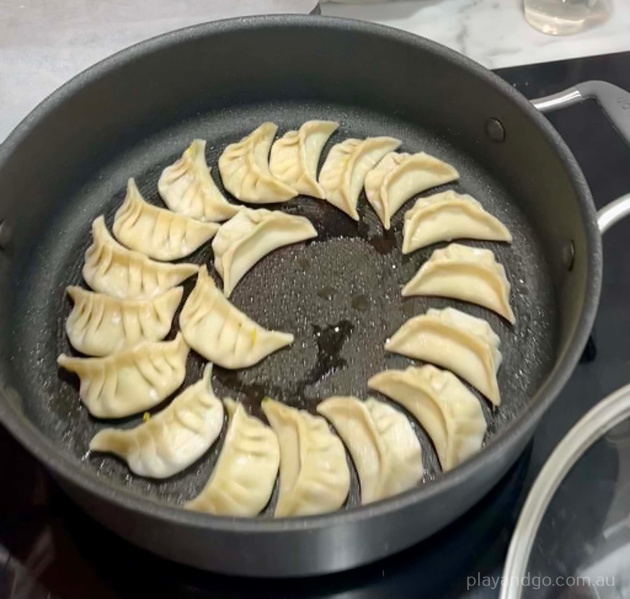chicken dumplings pan fried