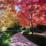 open gardens SA mothers day weekend