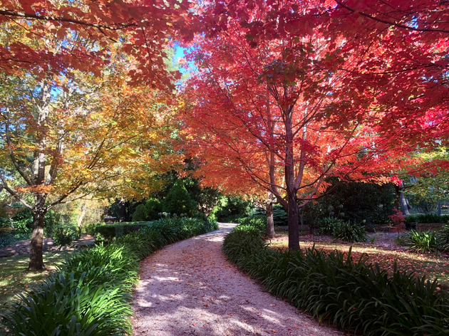 open gardens SA mothers day weekend