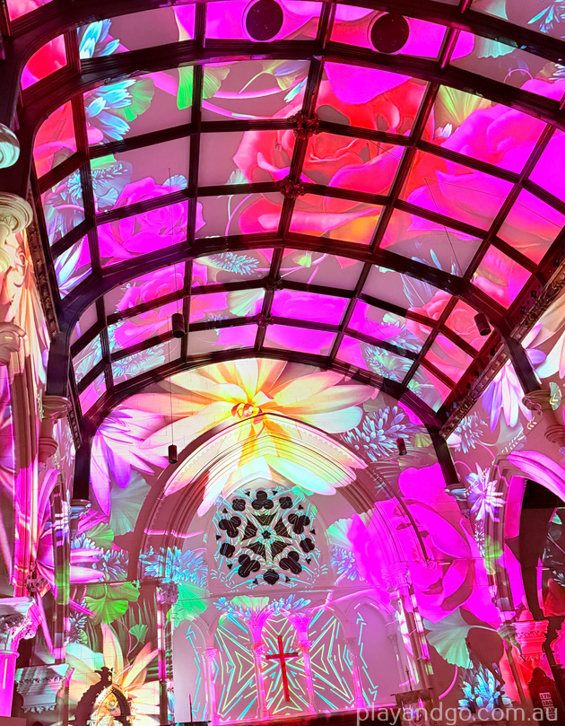 Eonarium Genesis Adelaide Immersive Light Show