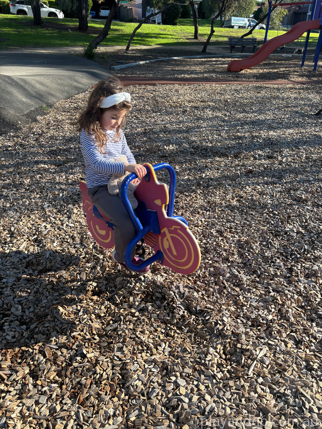 solandra reserve play