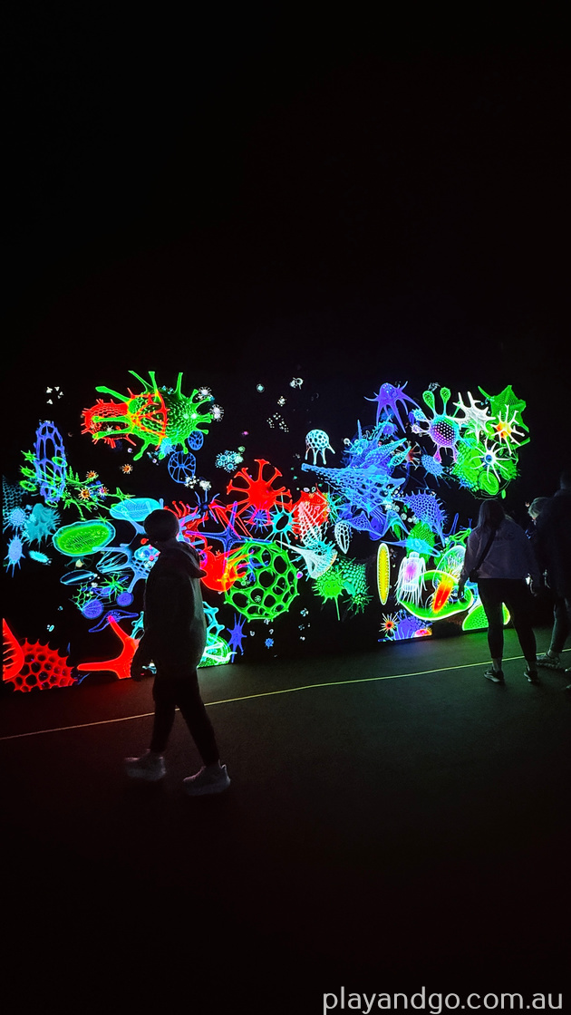 Digital Abyss - Illuminate Adelaide 2026