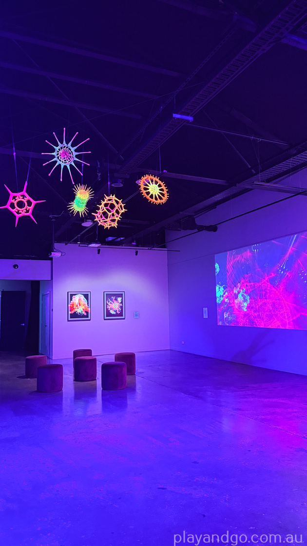 Digital Abyss - Illuminate Adelaide 2026