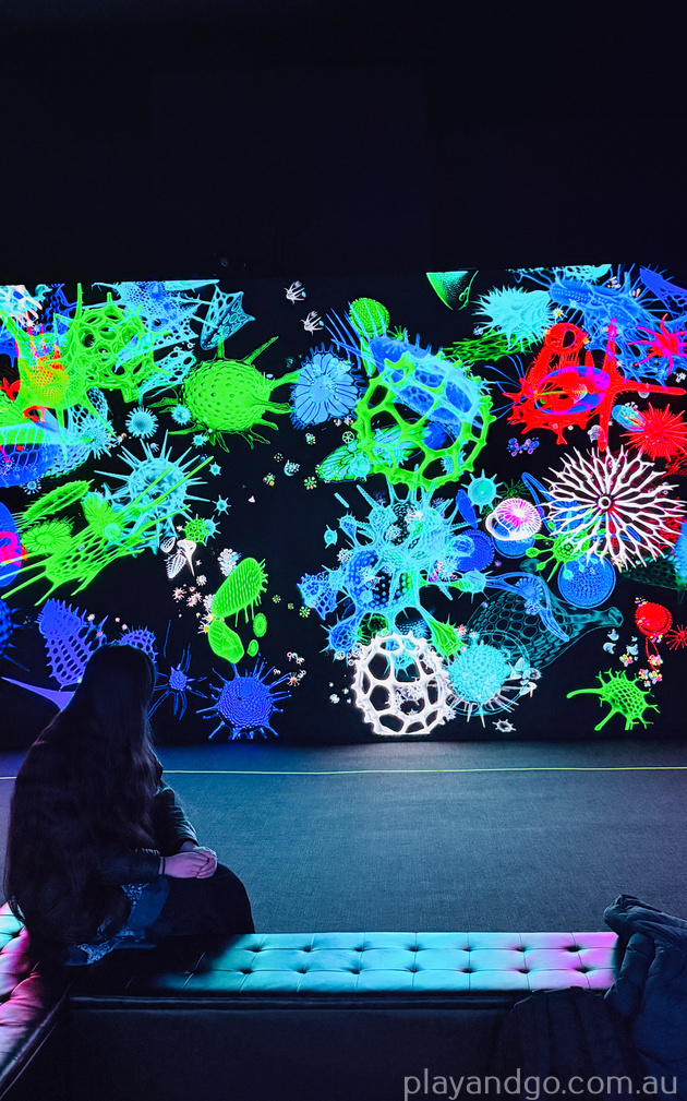 Digital Abyss - Illuminate Adelaide 2026