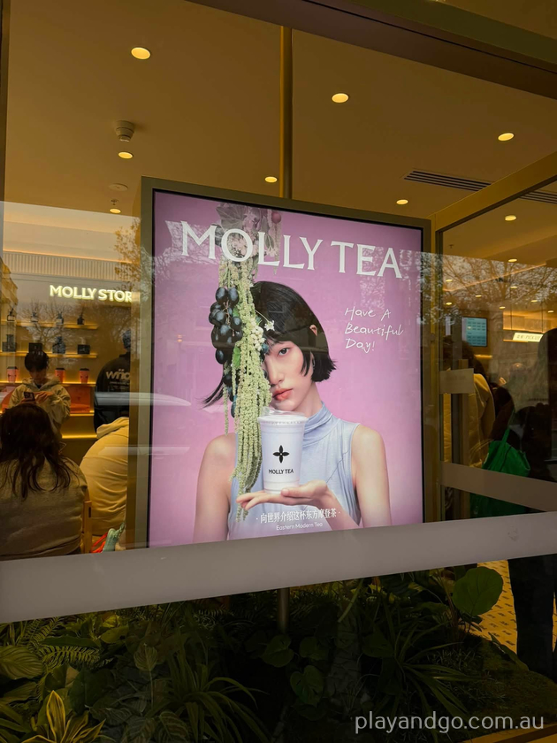 Molly Tea Adelaide