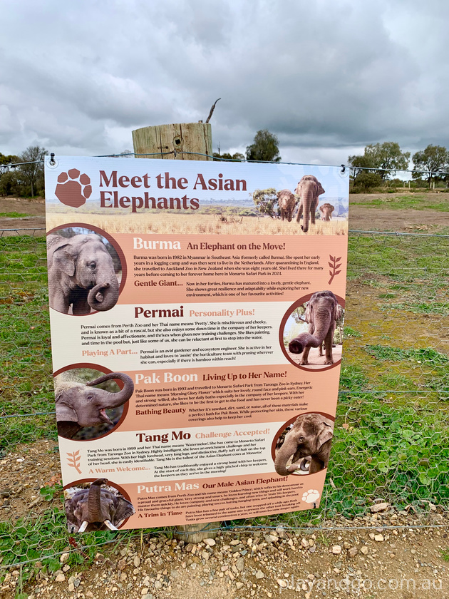 Monarto Zoo elephant enclosure