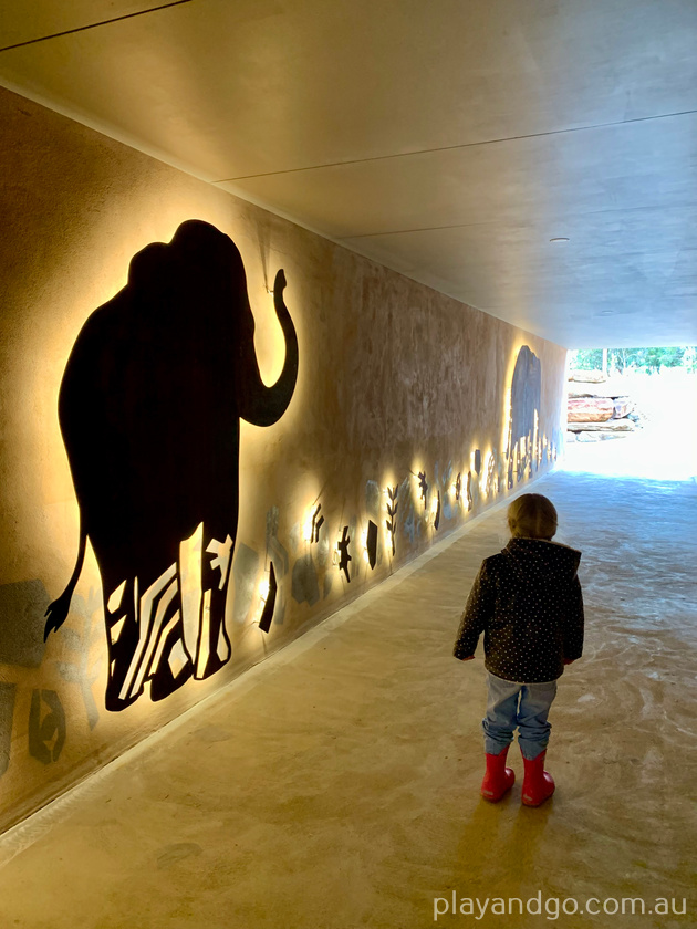 Monarto Zoo elephant enclosure