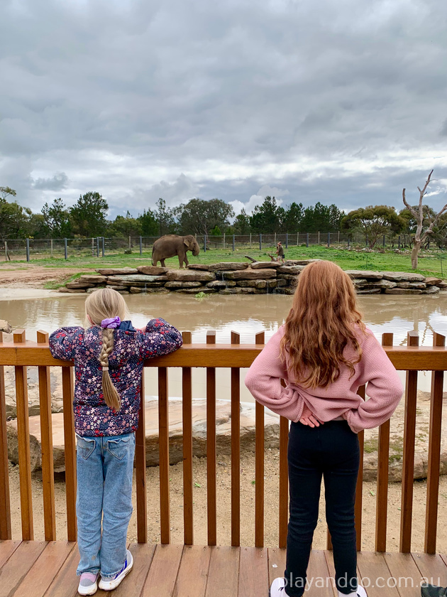 Monarto Zoo elephant enclosure