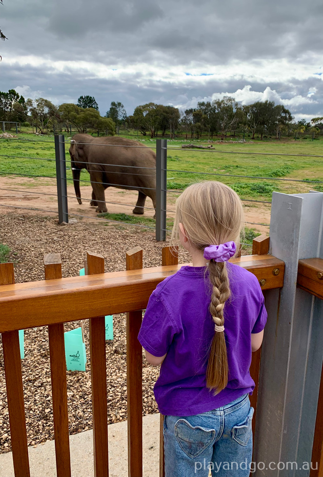 Monarto Zoo elephant enclosure
