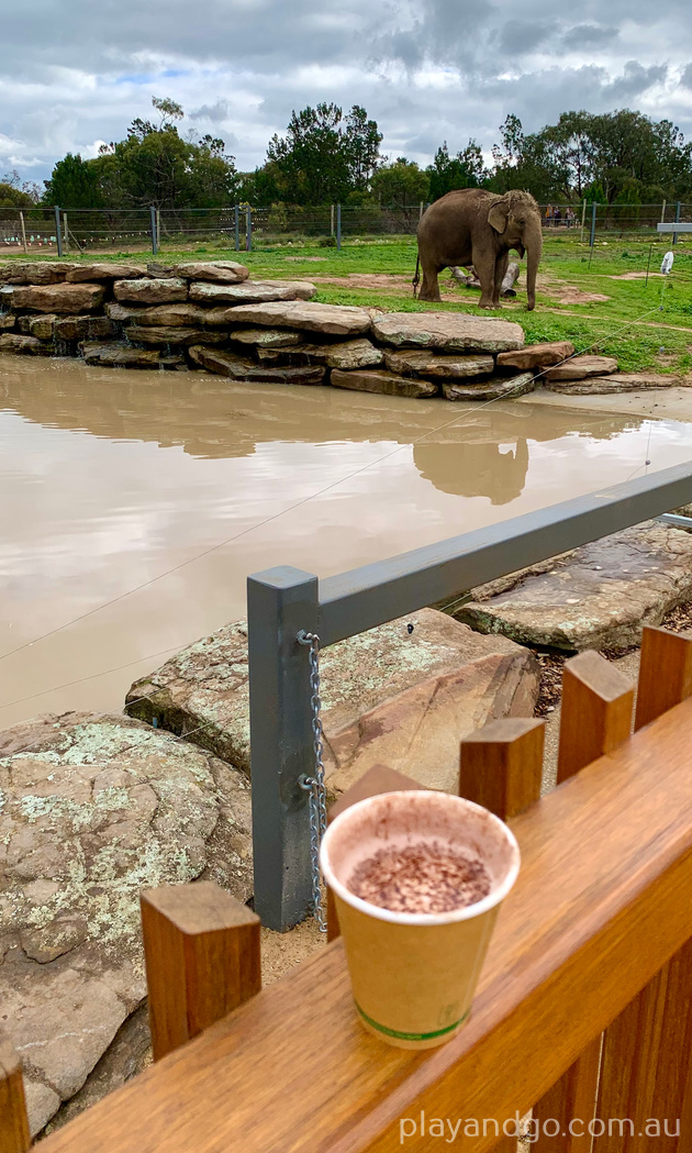 Monarto Zoo elephant enclosure
