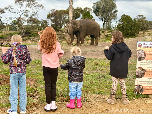 Monarto Zoo elephant enclosure