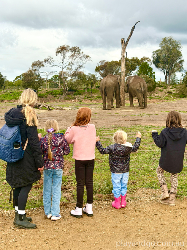 Monarto Zoo elephant enclosure