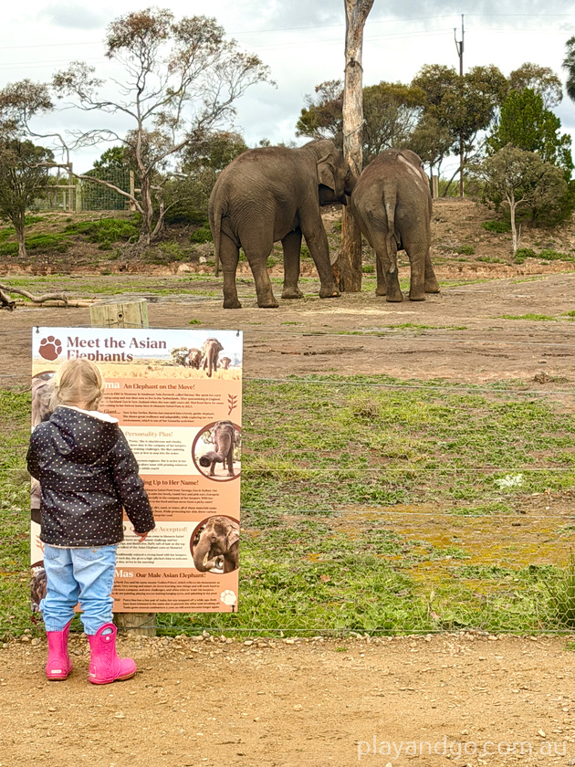 Monarto Zoo elephant enclosure