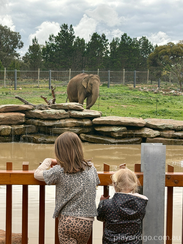 Monarto Zoo elephant enclosure