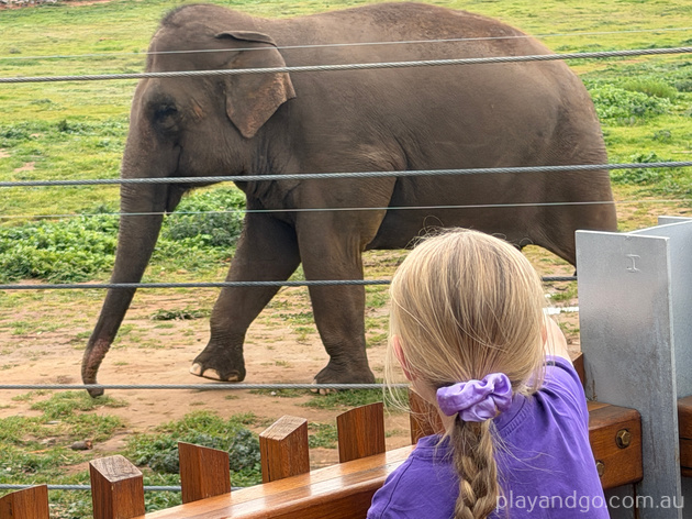 Monarto Zoo elephant enclosure