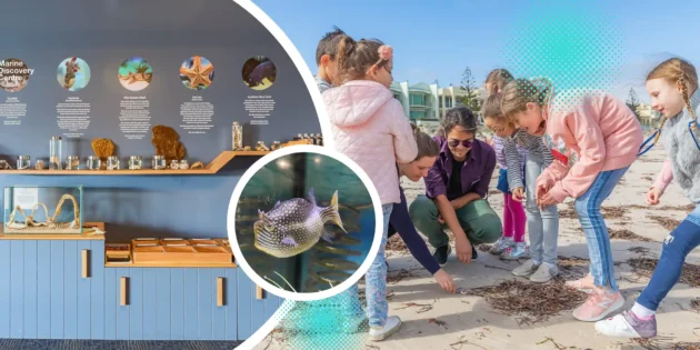 National Science Week Marine Discovery Centre