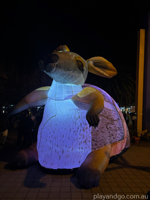 lights at Mawson 7