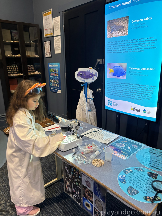 Marine discovery marine biology in training