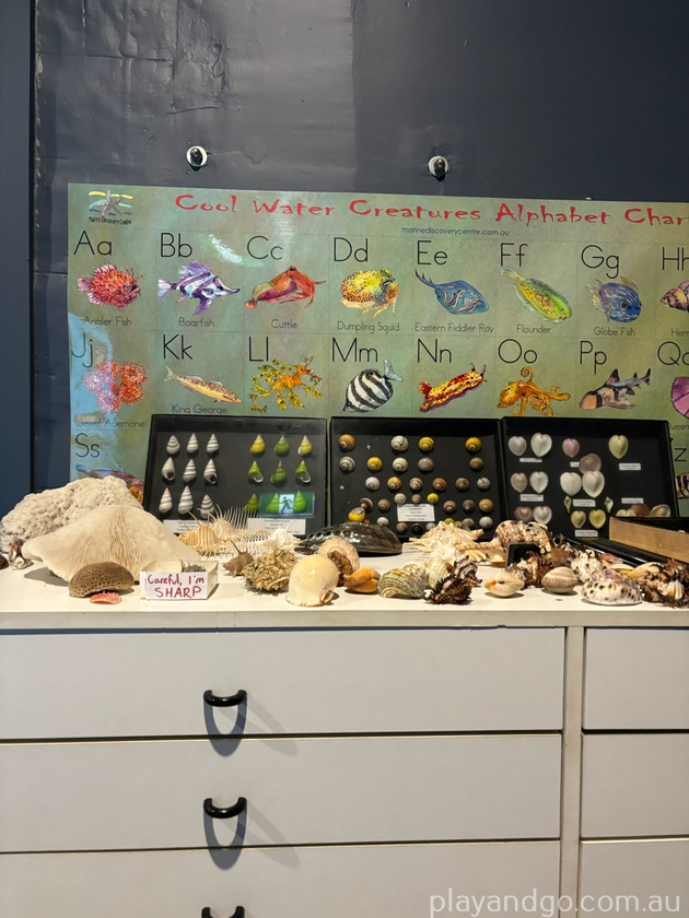marine discovery centre 13