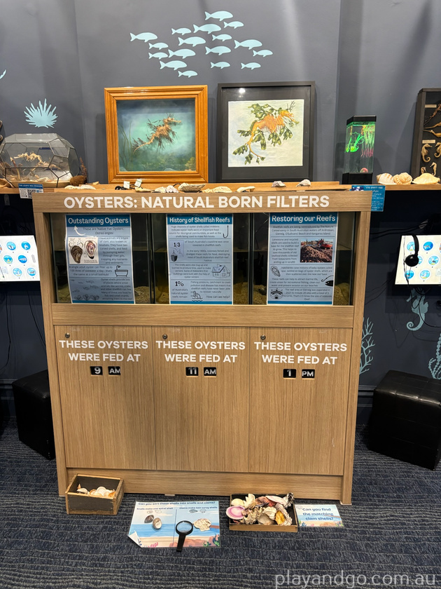 VR Marine discovery centre