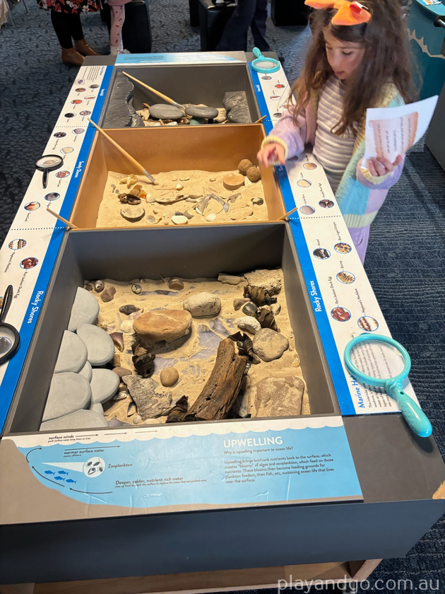 marine discovery fun