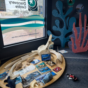 marine discovery centre setting