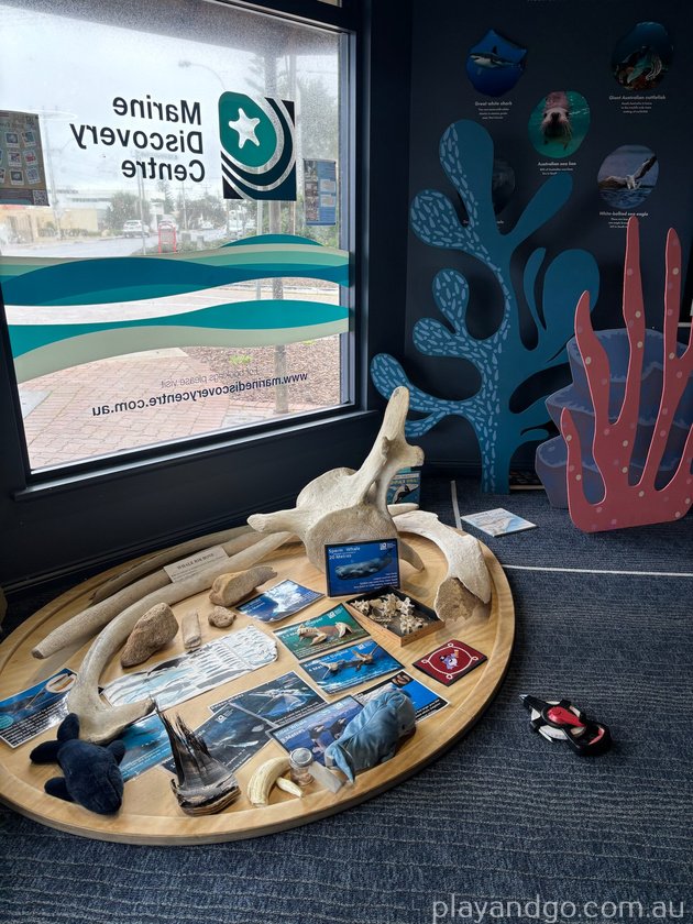marine discovery centre setting